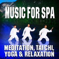 Music for Spa, Meditation, Tai Chi, Yoga and Relaxation by Relaxation